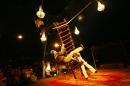 le chant du dindon 059 * 4368 x 2912 * (6.11MB)